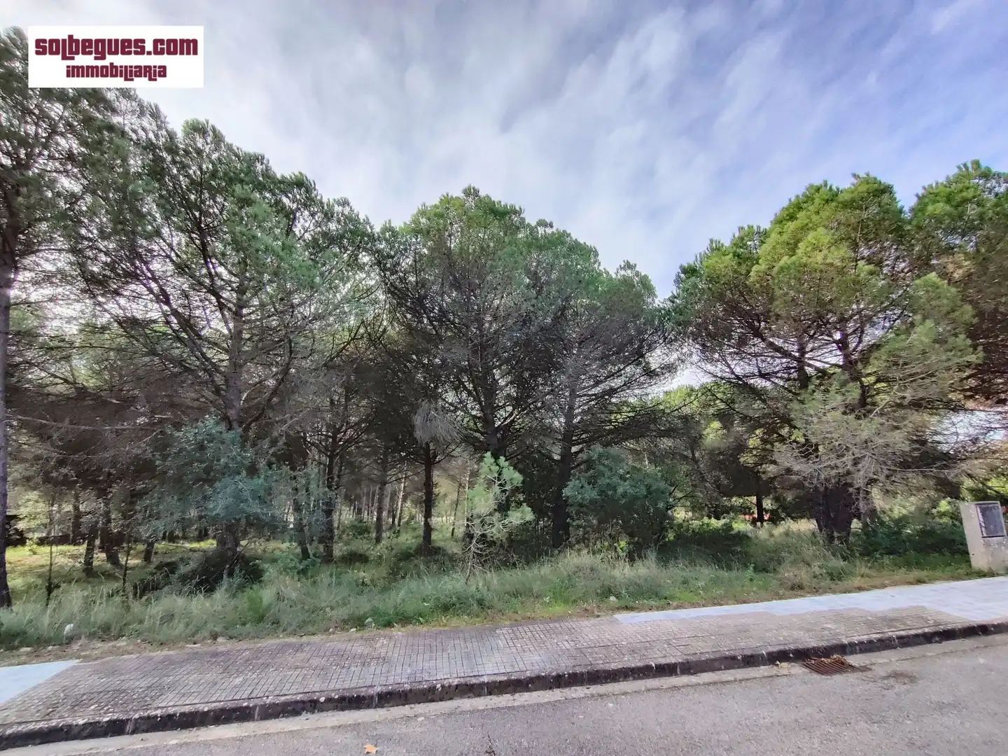 Terrenys i solars en venda a Gregal 32, imagen 8