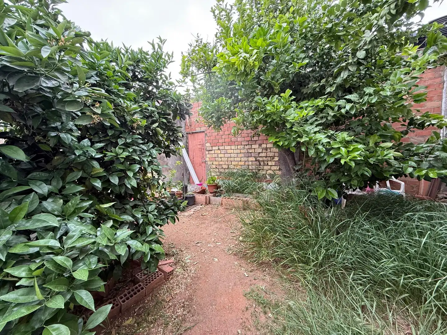 Garden of Residential for sale in Dos Hermanas