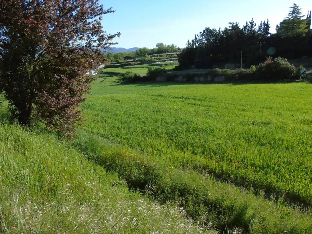 Terreno residencial en venta en Castellterçol, imagen 2