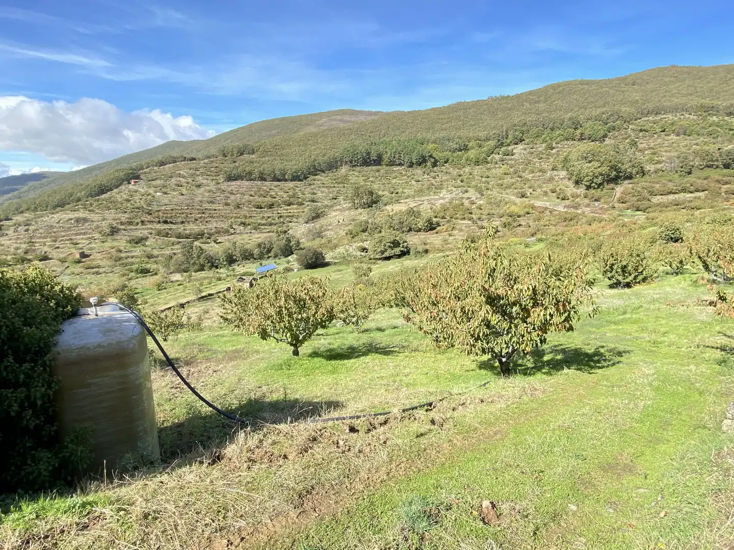 Terreni e lotti in vendita a Barrado, imagen 32