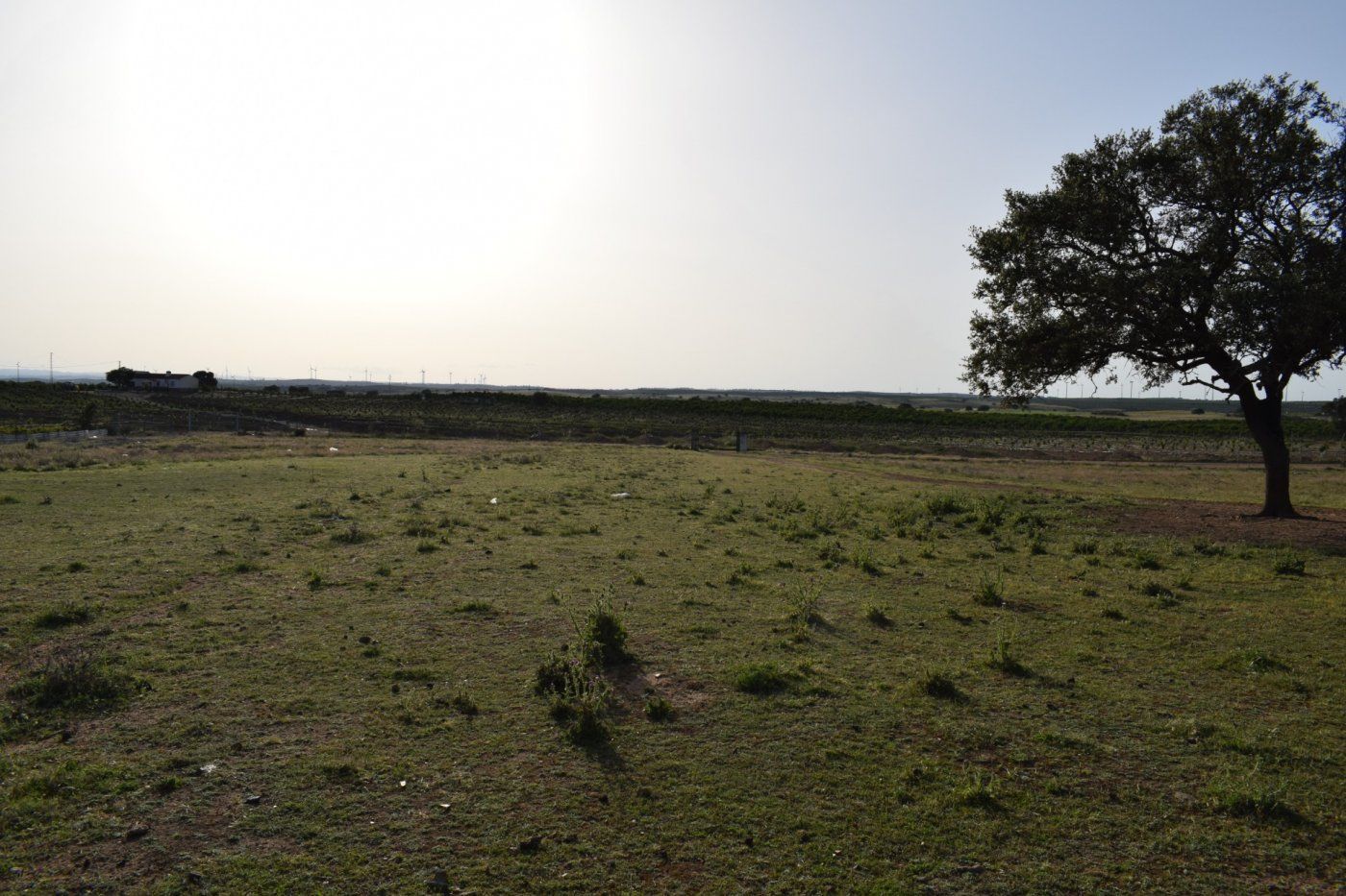 Finca rústica en venda a Camino DISEMINADOS, Villablanca