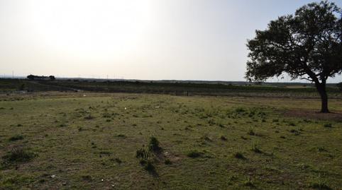 Foto 2 de Finca rústica en venda a Camino Diseminados, Villablanca, Huelva