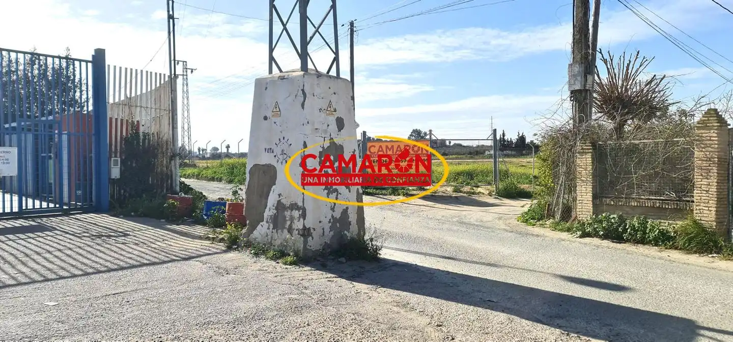 Terrenos y solares en venta en Coria del Río