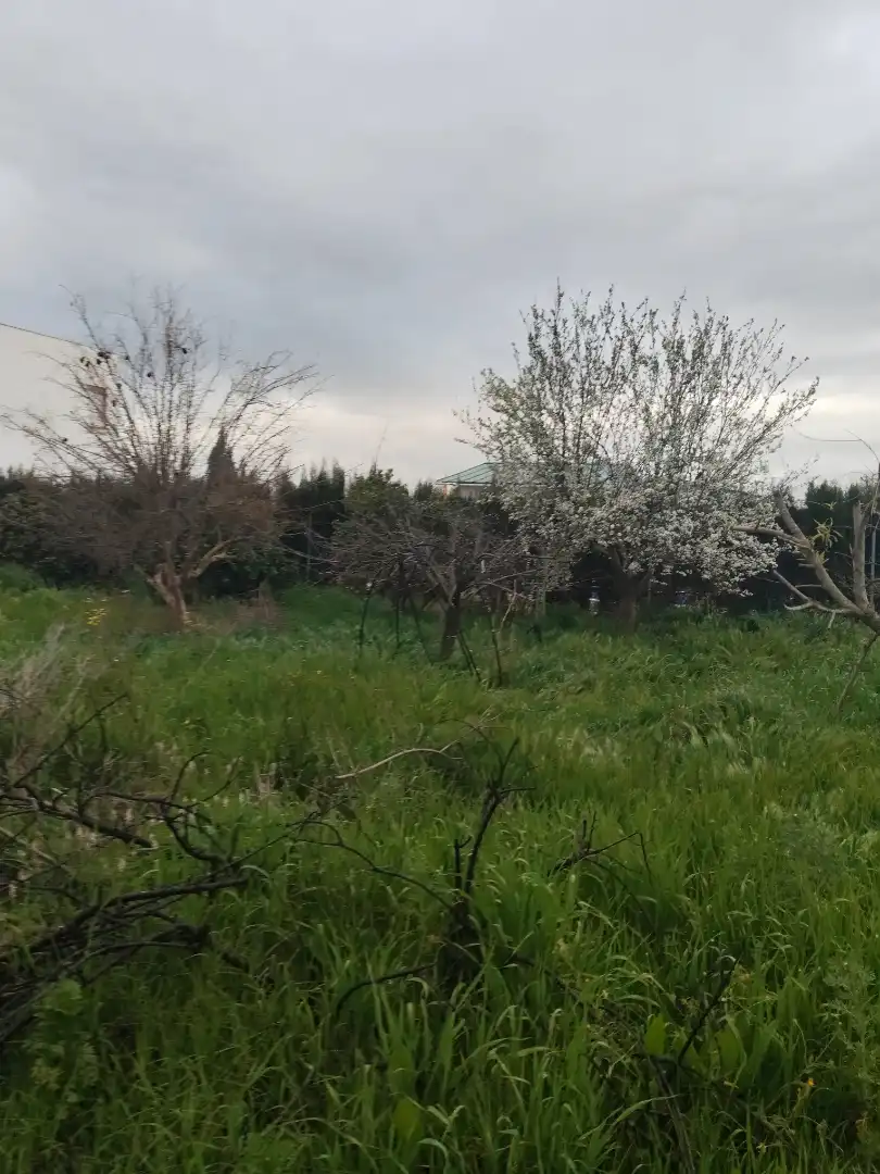 Terreno rustico in vendita a Alcalá del Río, imagen 7