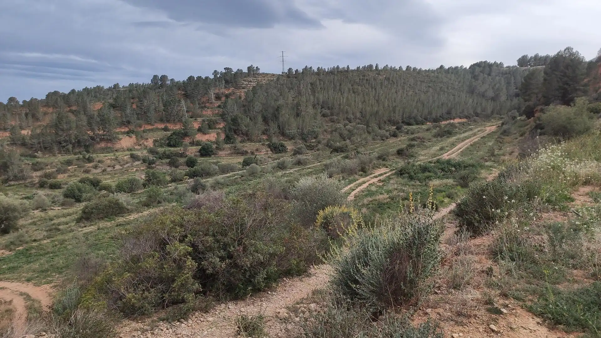 Finca rústica en venda en Xerta