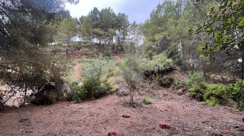 Photo 5 of Residential for sale in Urbanització Mont Blau, Torres Torres, Valencia