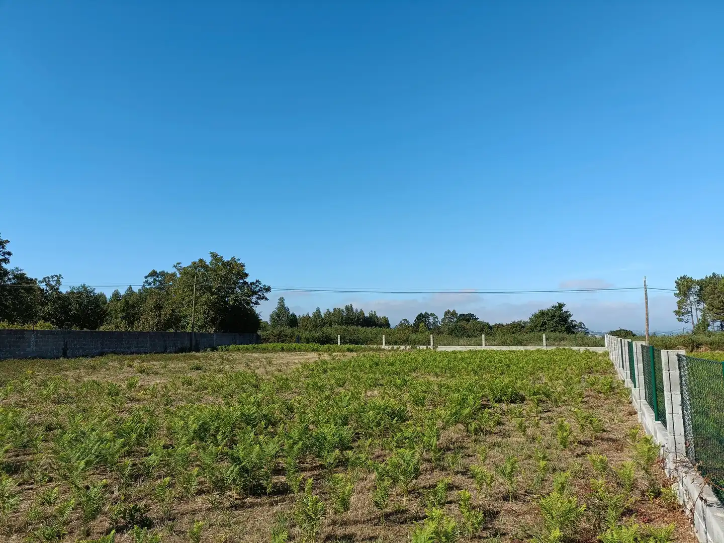 Casa o xalet en venda en Bergondo amb Jardí privat i Traster