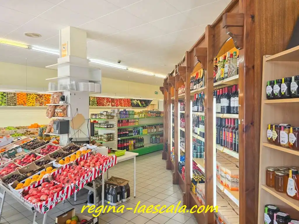Locale commerciale in vendita a Riells, imagen 6