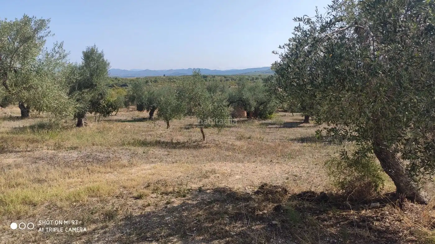 Rural land for sale in Carrer de la Muntanya 1, imagen 20