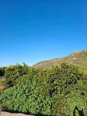 Terrain rustique à vendre à Terrenos MARXUQUERA  ALTA, imagen 22