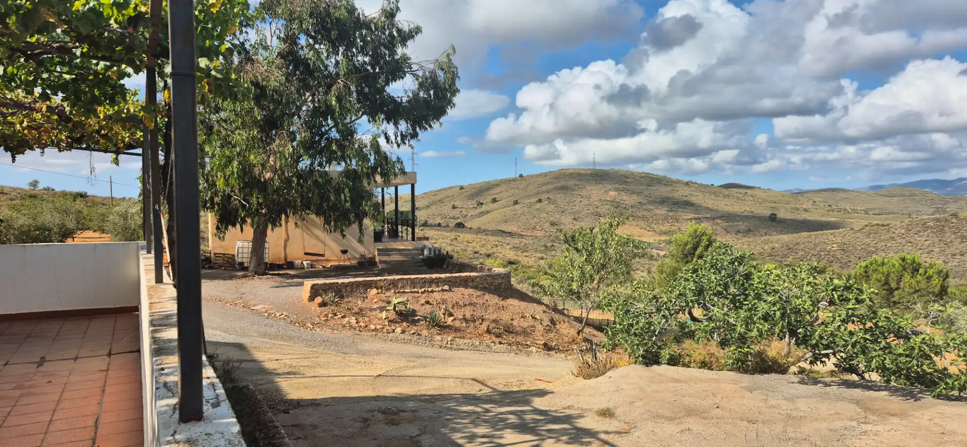 Terrain rustique à vendre à Alcolea, imagen 10