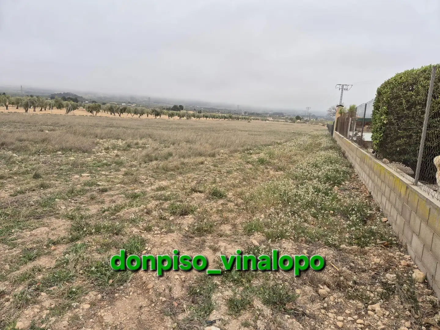 Rural land for sale in San Francisco, imagen 2