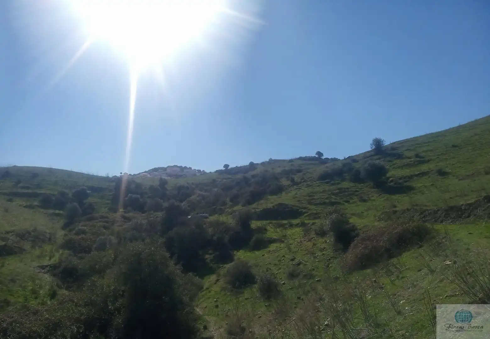 Finca rústica en venda en Mijas