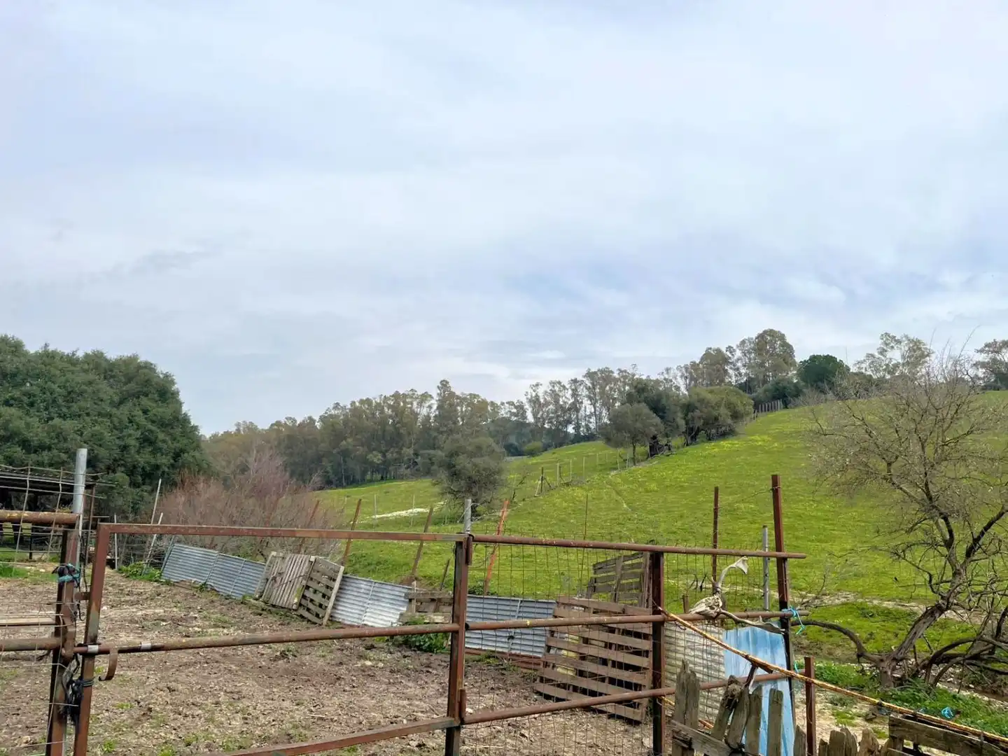 Country homes for sale in Jimena de la Frontera