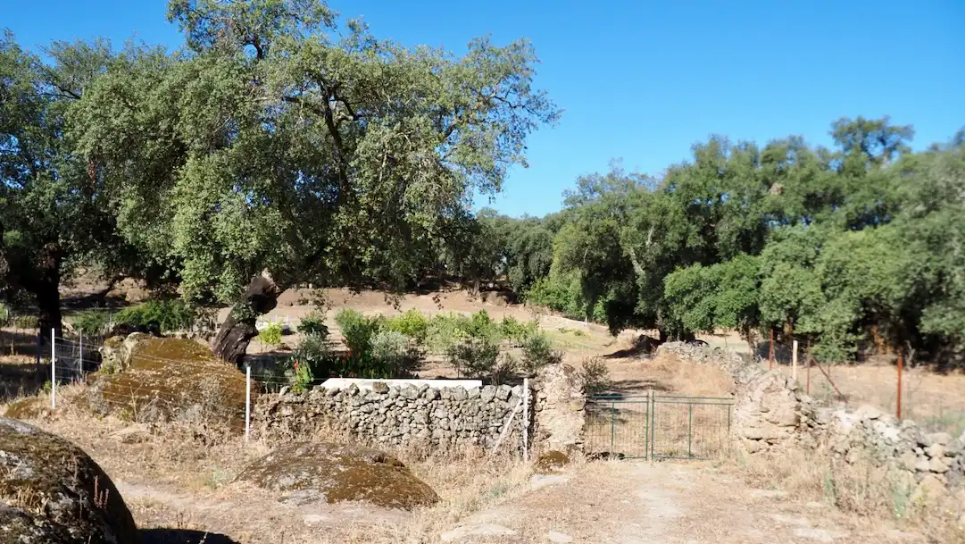 Terreni e lotti in vendita a Casco Antiguo, imagen 6