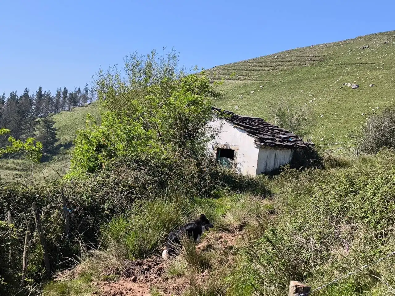 Maison à vendre à el cierro, imagen 2
