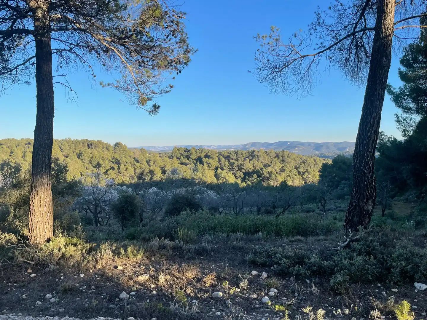 Terreni e lotti in vendita a Ráfales, imagen 7