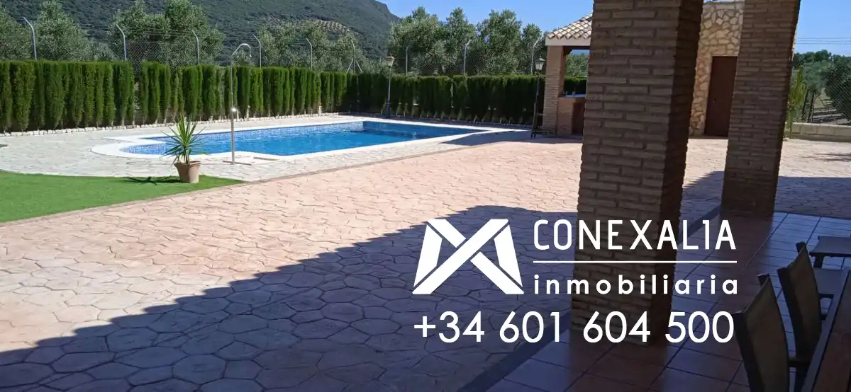 Piscina de Finca rústica en venta en Algodonales con Piscina