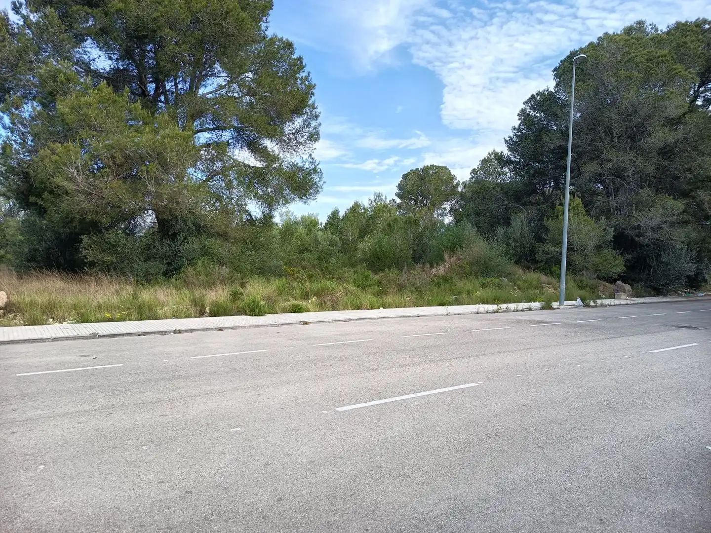Terreni e lotti in vendita a PLANES ALTES C 11, imagen 3