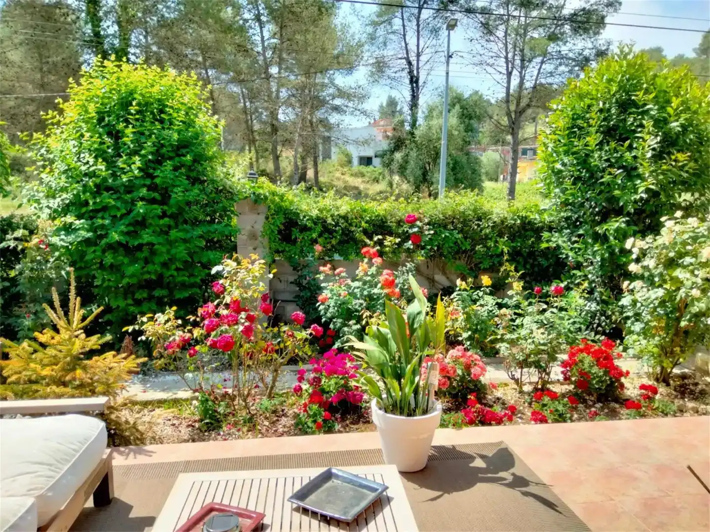 Jardí de Casa o xalet en venda en Canyelles amb Aire condicionat