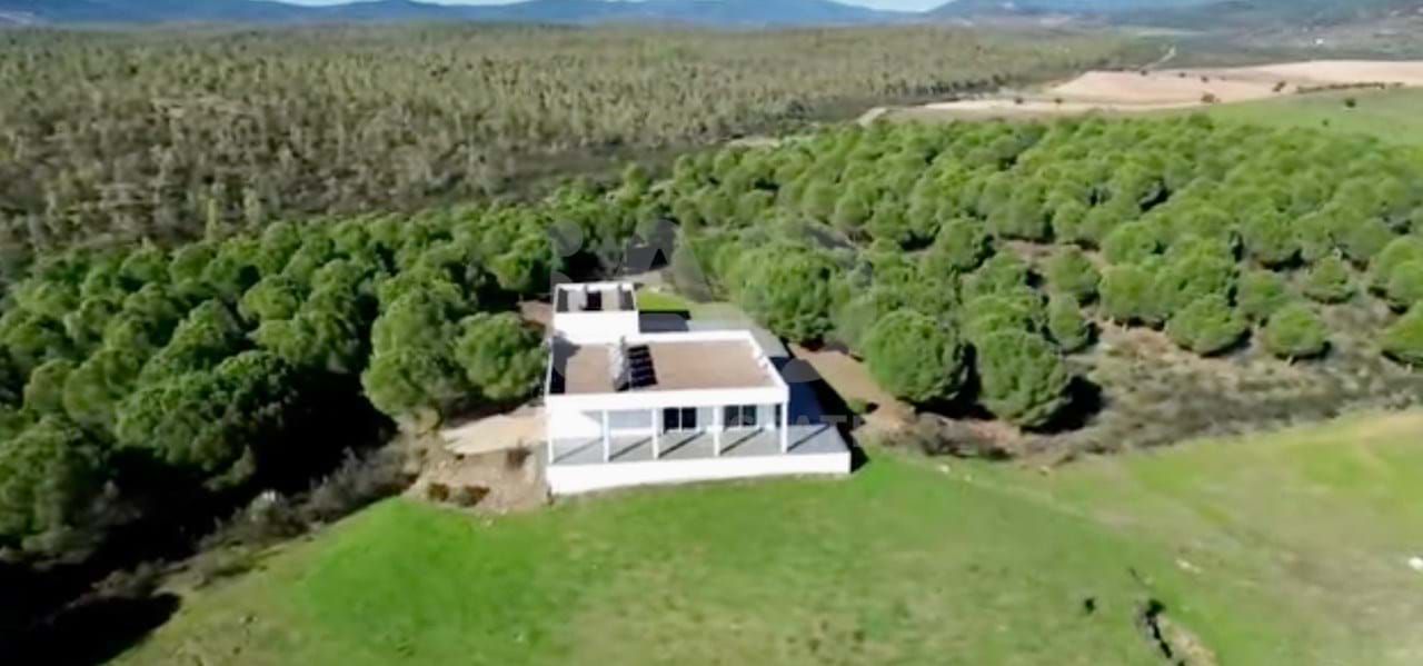 Vista exterior de Casa o xalet en venda en Alburquerque amb Calefacció, Terrassa i Piscina