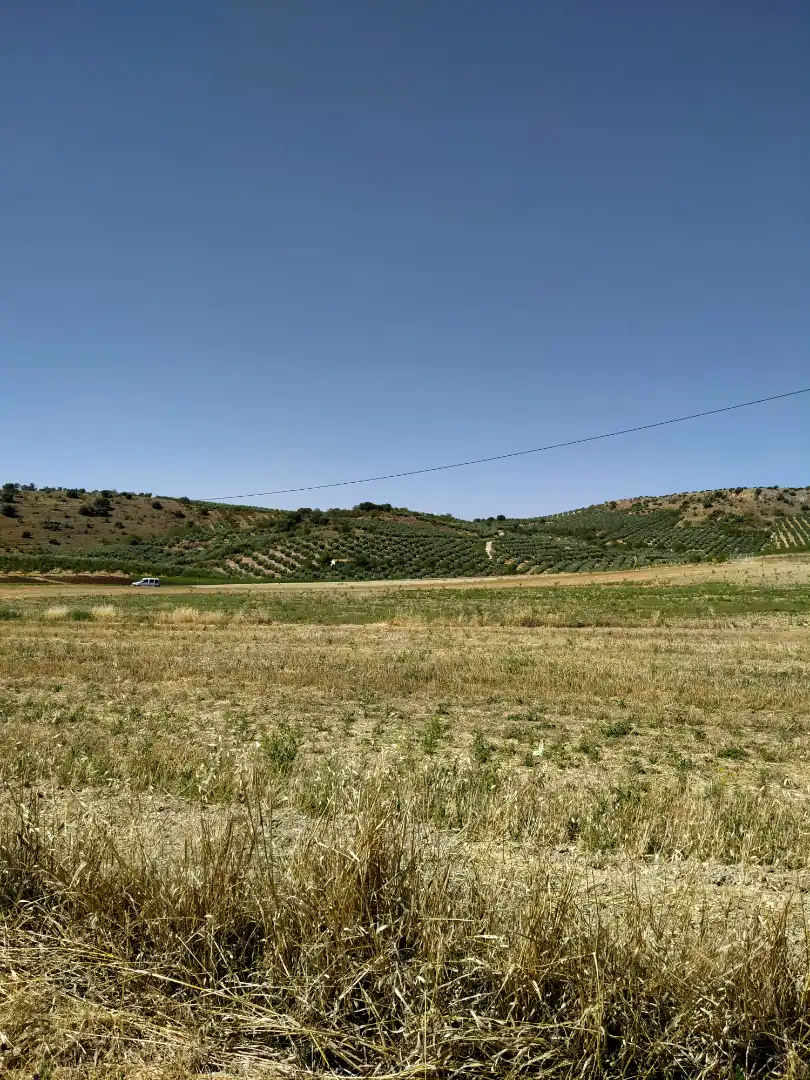 Rural land for sale in Calle Medina del Campo, imagen 28