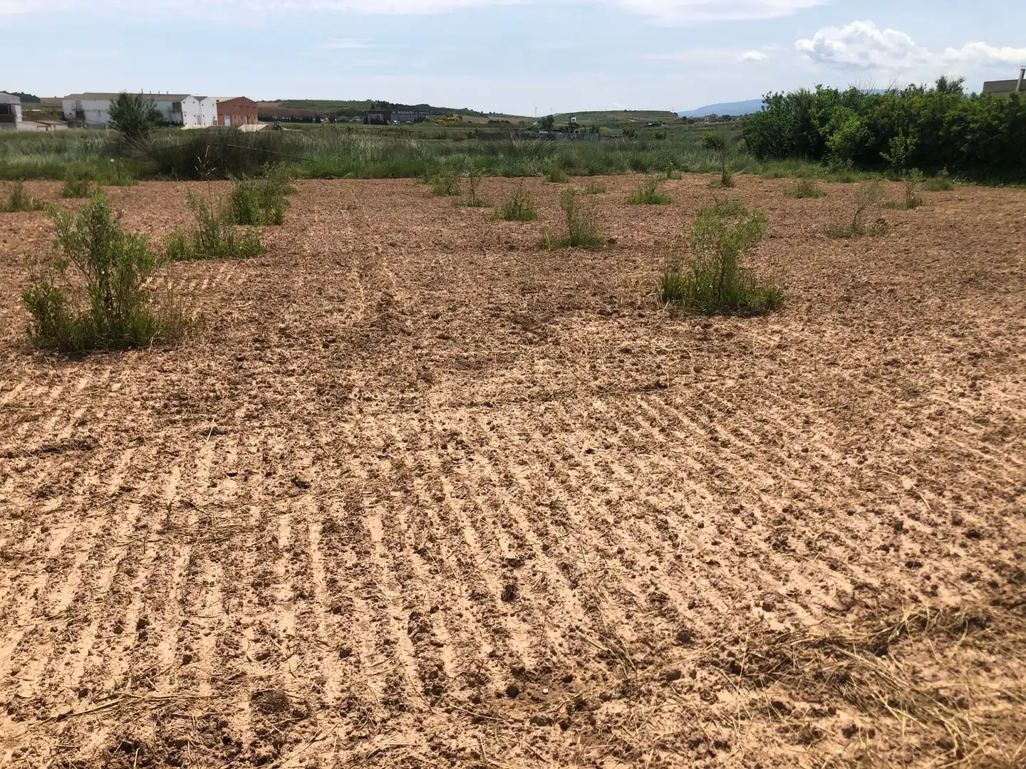 Terreny rústic en venda a Murillo de Río Leza, imagen 12