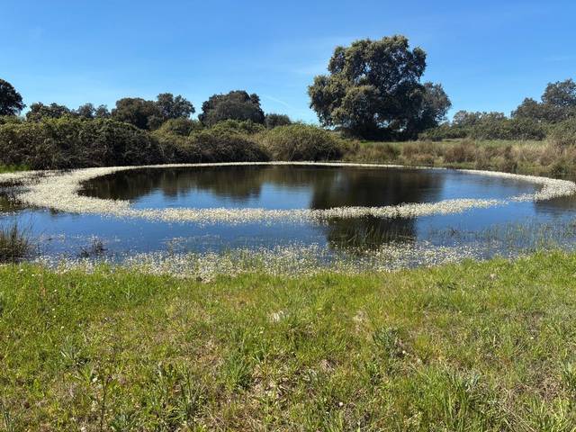 Terreno en Venta en Torralba de Oropesa