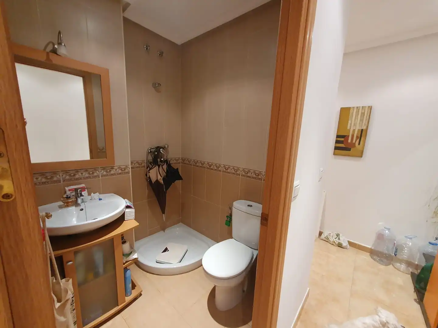 Bathroom of Flat for sale in Argamasilla de Calatrava  with Terrace and Furnished