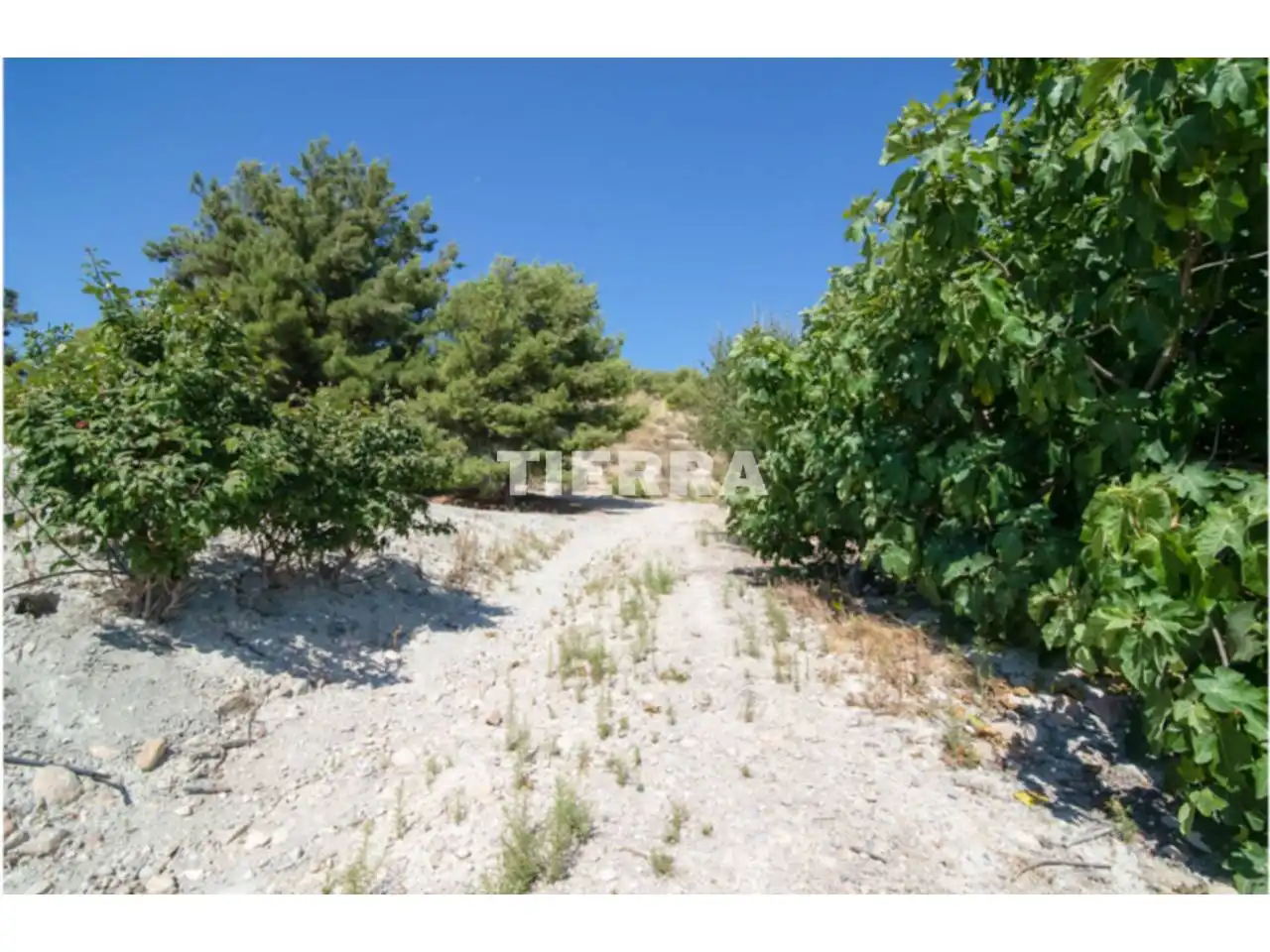 Lands and plots for sale in Poligono El Semolilla, imagen 7