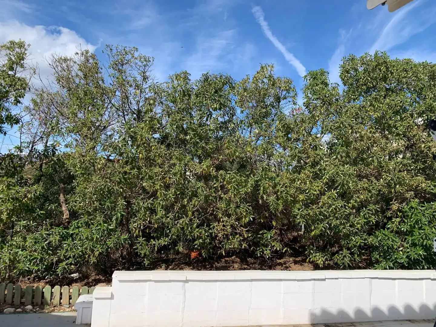 Vista exterior de Casa o chalet en venta en Mijas con Aire acondicionado, Jardín privado y Trastero