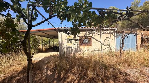 Foto 3 de Finca rústica en venta en Figueroles, Castellón