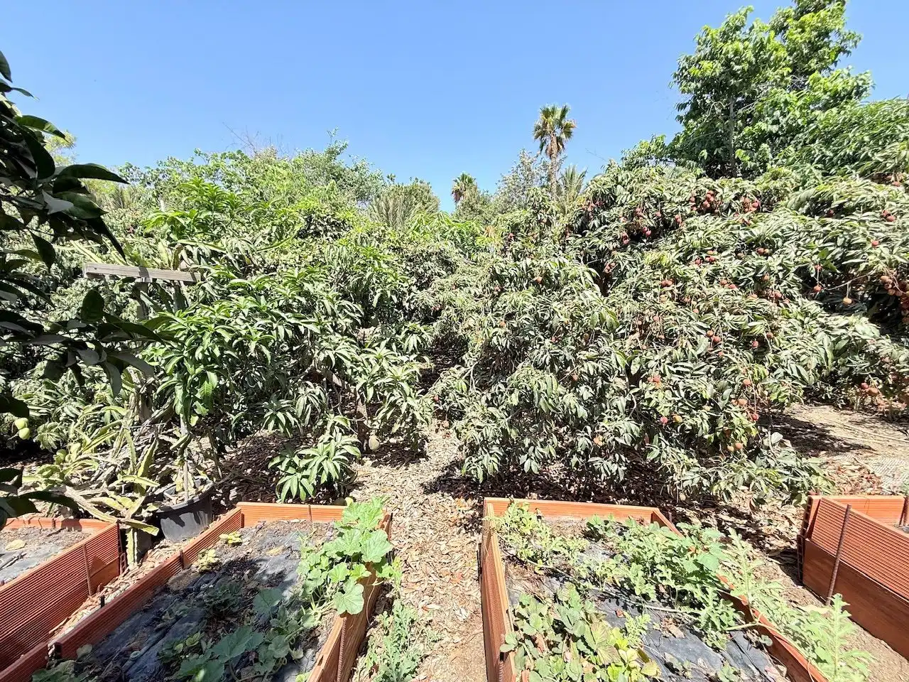 Jardín de Casa o chalet en venta en Vélez-Málaga con Aire acondicionado, Calefacción y Jardín privado