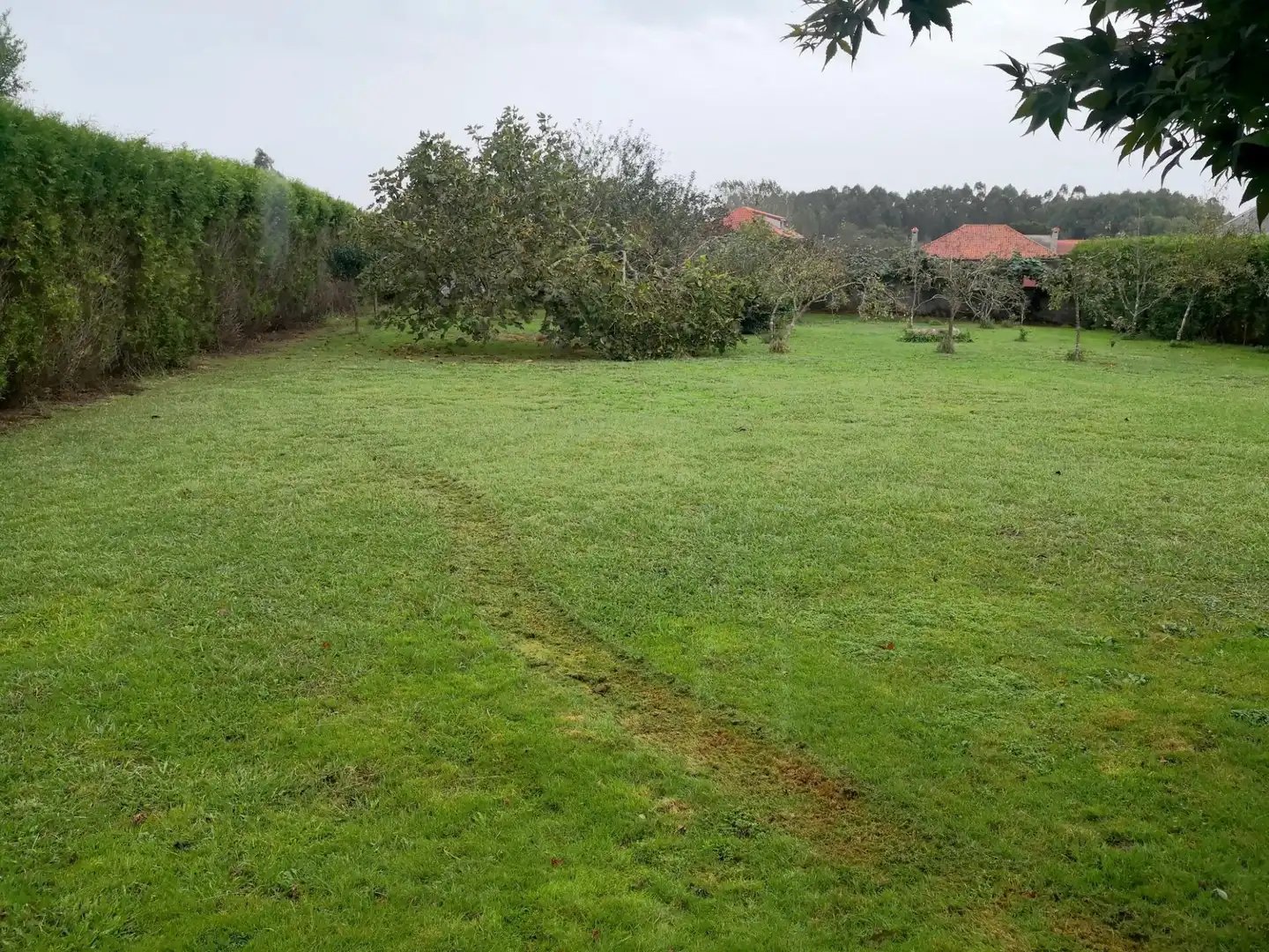 Casa o xalet en venda en Carballo amb Calefacció, Jardí privat i Terrassa