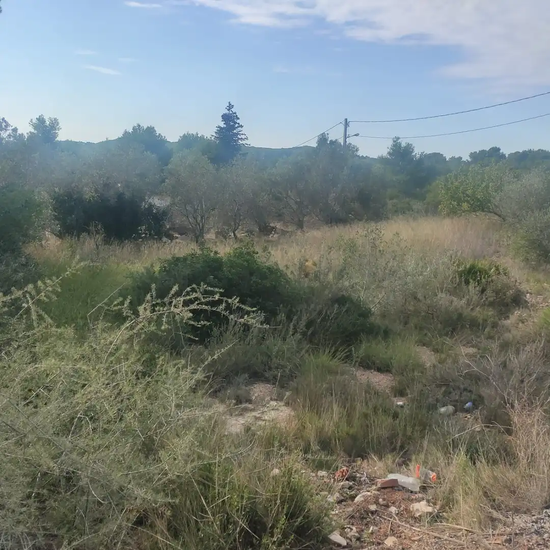 Terreno residencial en venta en Calle ROGER DE FLOR