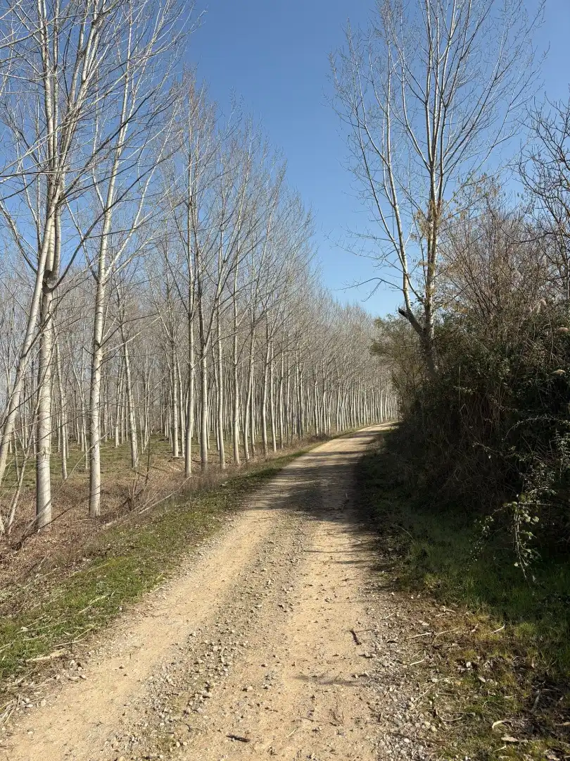 Rural land for sale in Agoncillo, imagen 9