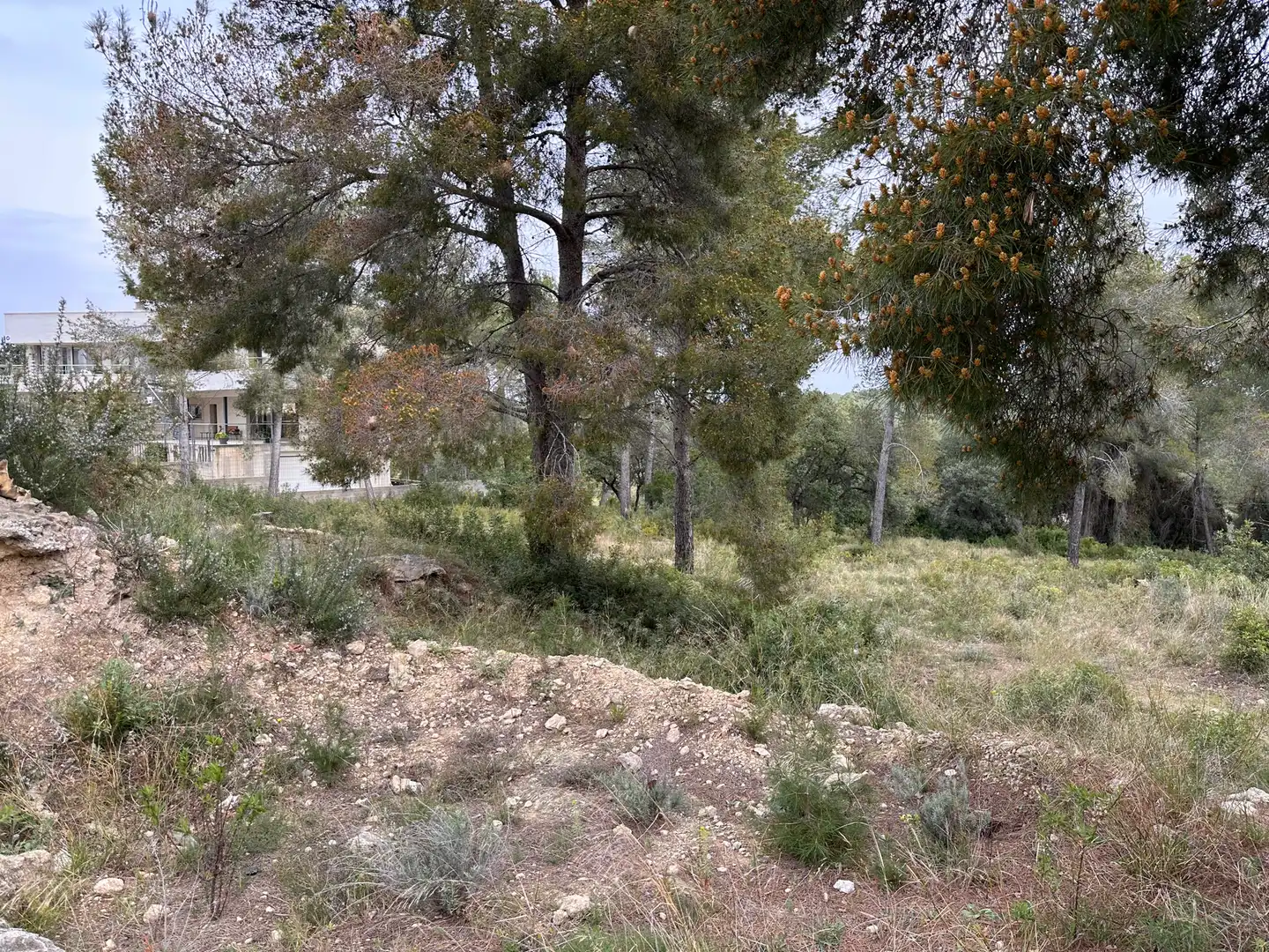 Terreno residencial en venta en Primera Avinguda 41, imagen 5