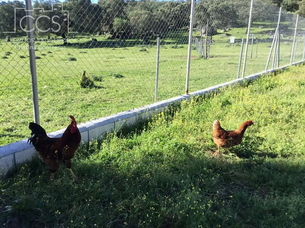 Jardí de Finca rústica en venda en El Pedroso amb Traster, Piscina i Moblat