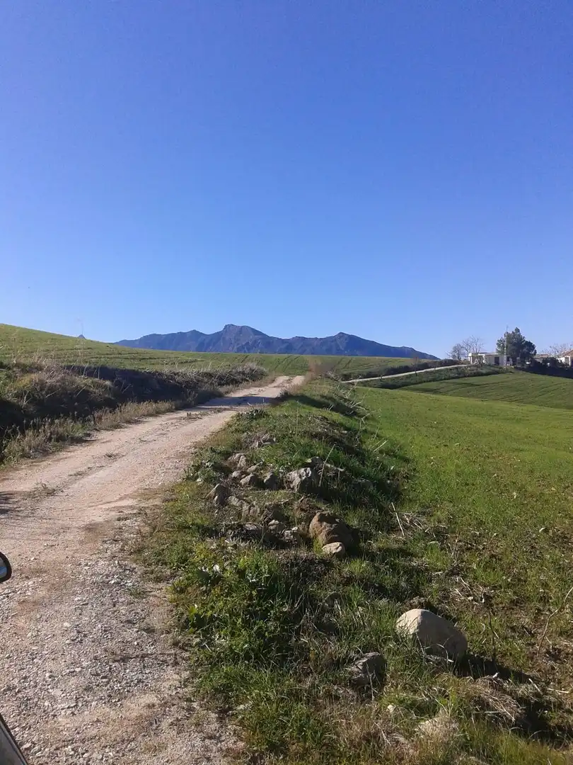 Exterior view of Land for sale in Ronda