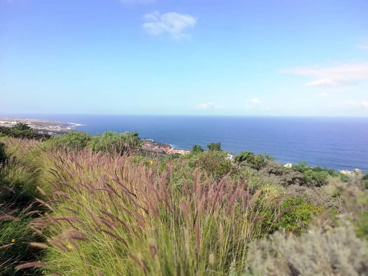 Terreno en venta en Isogue, polígono 7, parcela 39, 1, Punta del Hidalgo