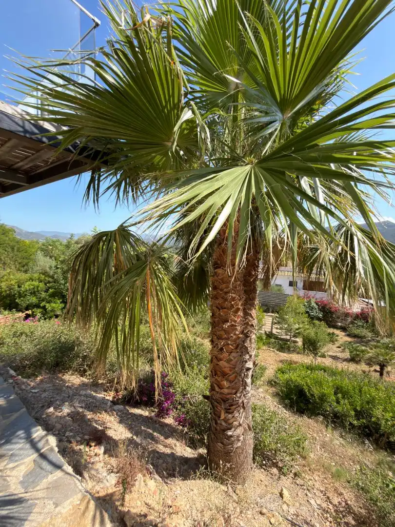 Haus mit Terrasse zum Verkauf in Urbanización Montepino, imagen 35