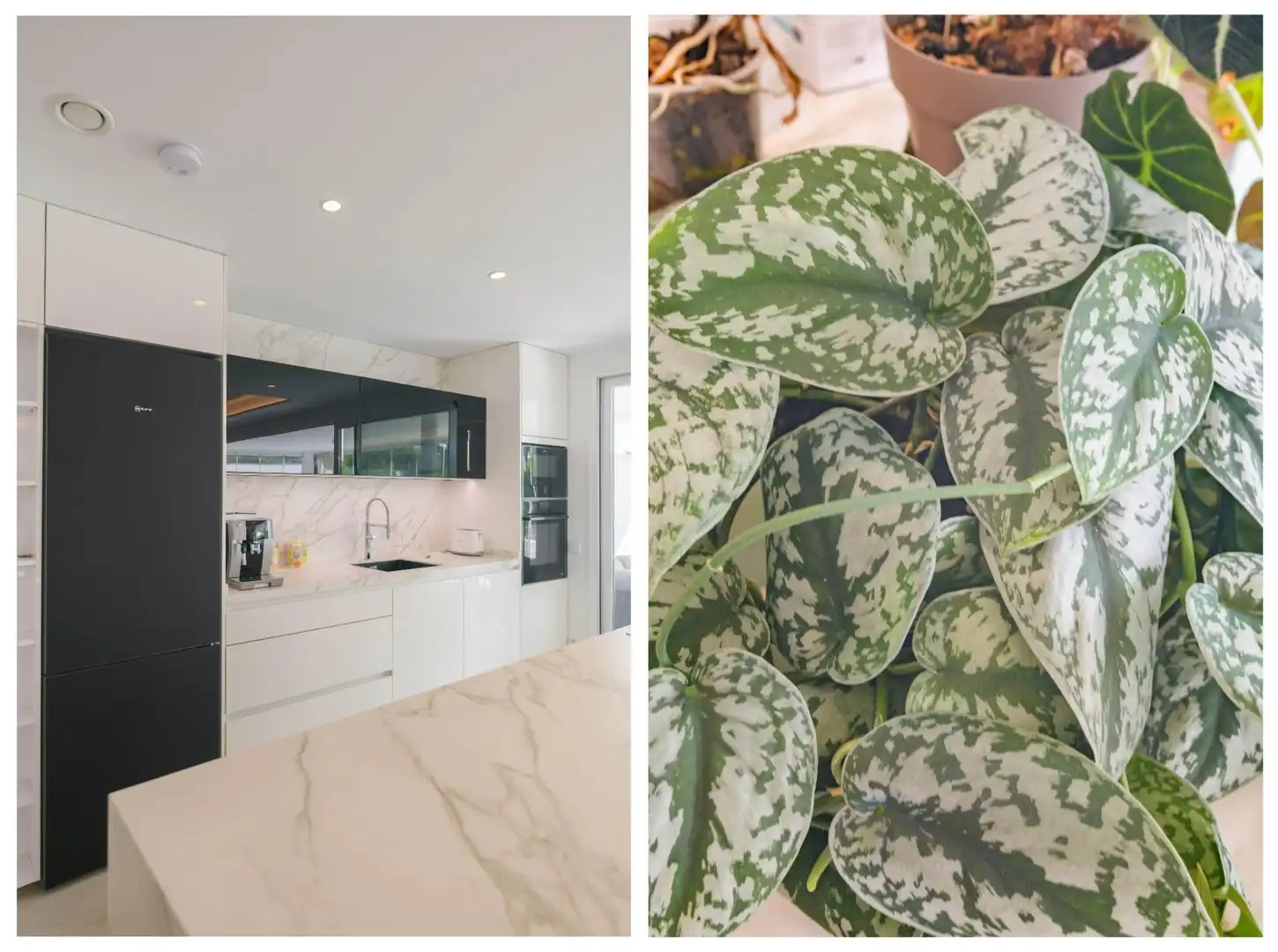 Kitchen of Apartments for sale in La Capellanía - El Higuerón