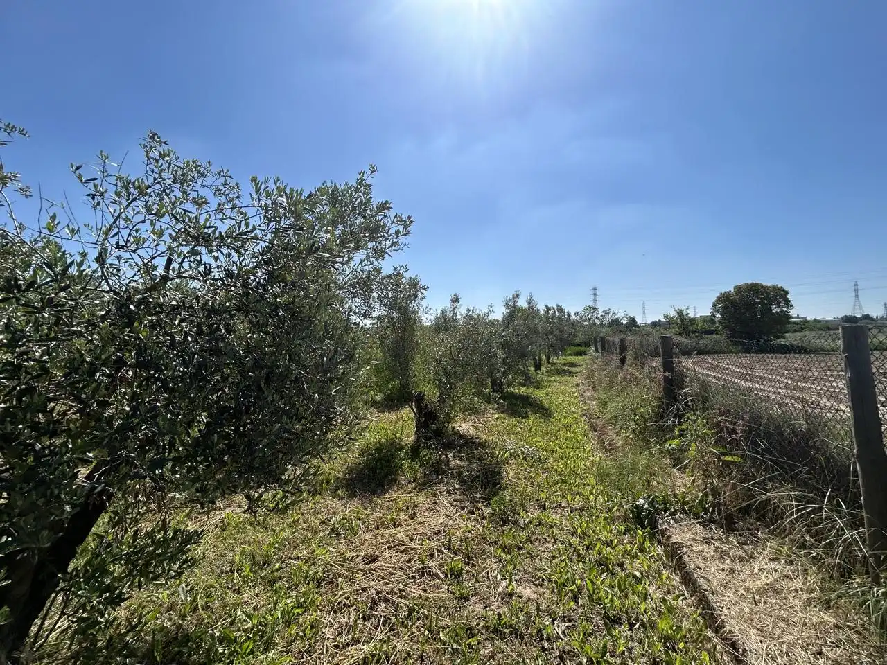 Finca rústica en venda en Tudela amb Piscina