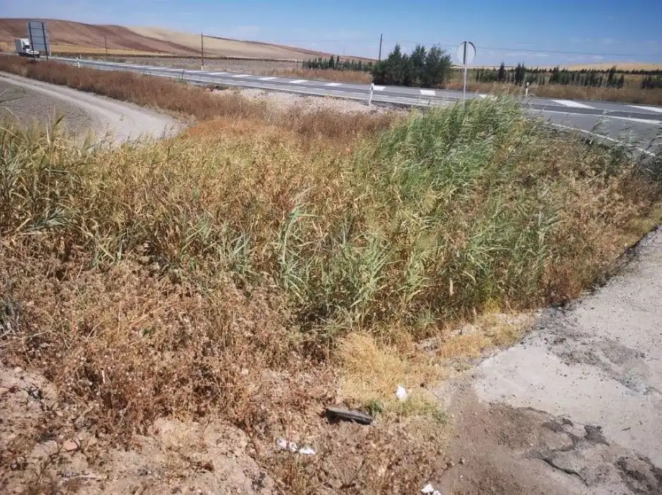 Terreno rustico in vendita a Manzana 4 P 9, imagen 5