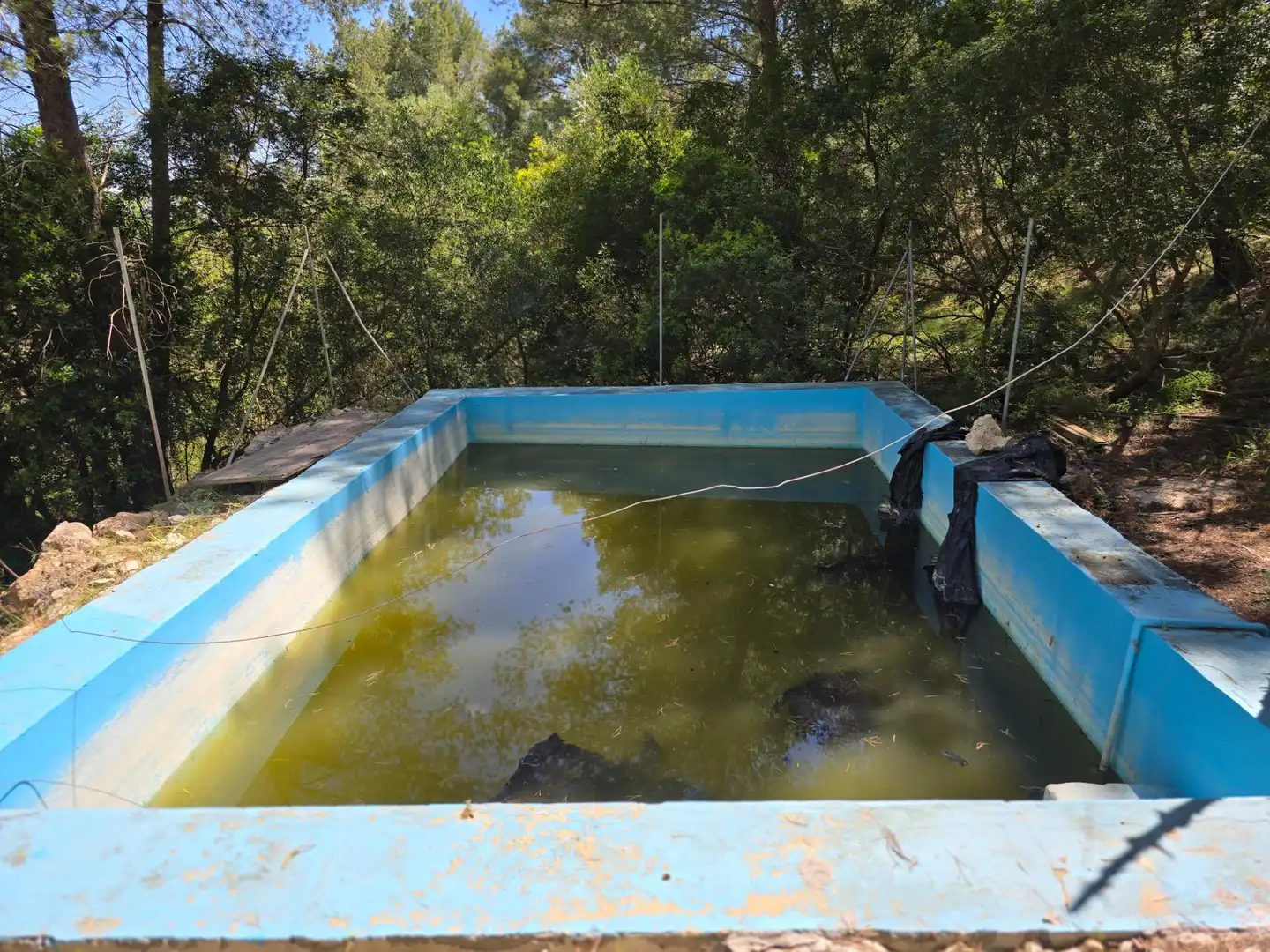 Piscina de Casa o xalet en venda en Mancor de la Vall amb Terrassa, Traster i Piscina