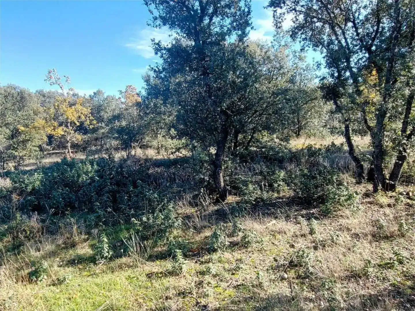 Residencial en venta en Fresno de Cantespino
