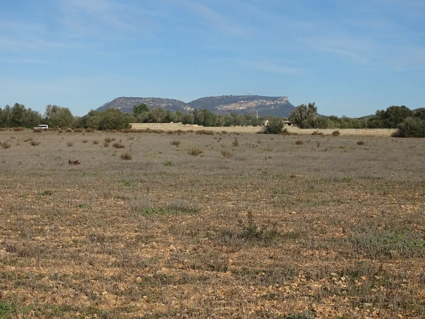 Terreno rustico in vendita a Llucmajor pueblo