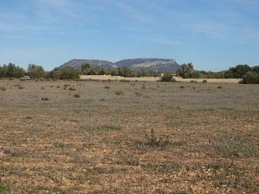 Terreno rustico in vendita a Llucmajor pueblo