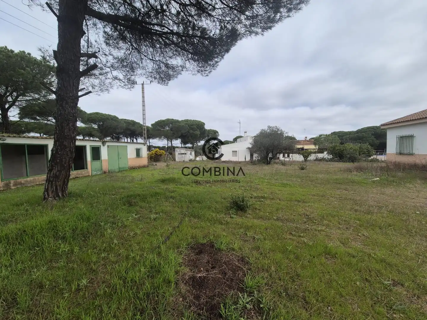 Terreny en venda en Bonares