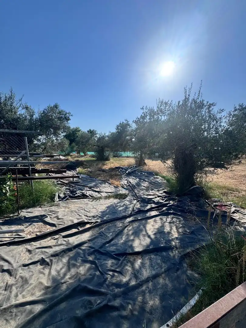 Finca rústica en venda en Utrera